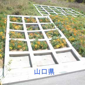 北海道オフンタルマナイ線