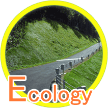 ecology